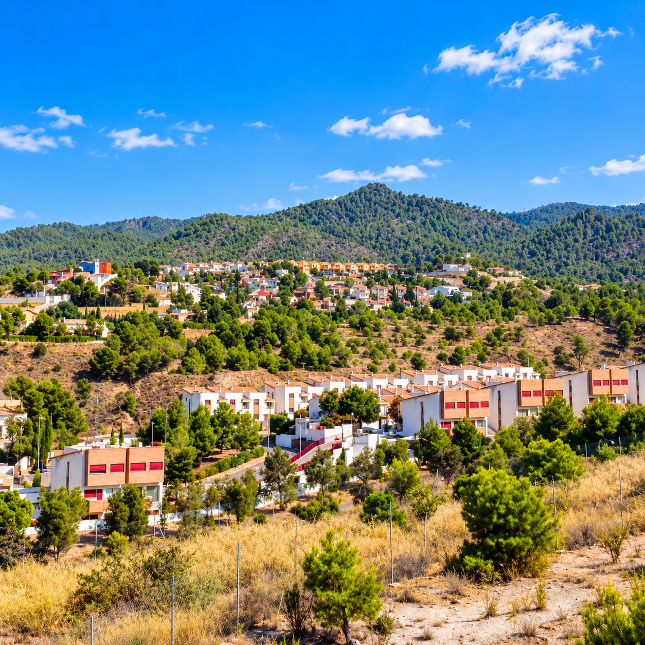 Paisaje del Valle de Ricote en Torreguil · Sangonera la Verde