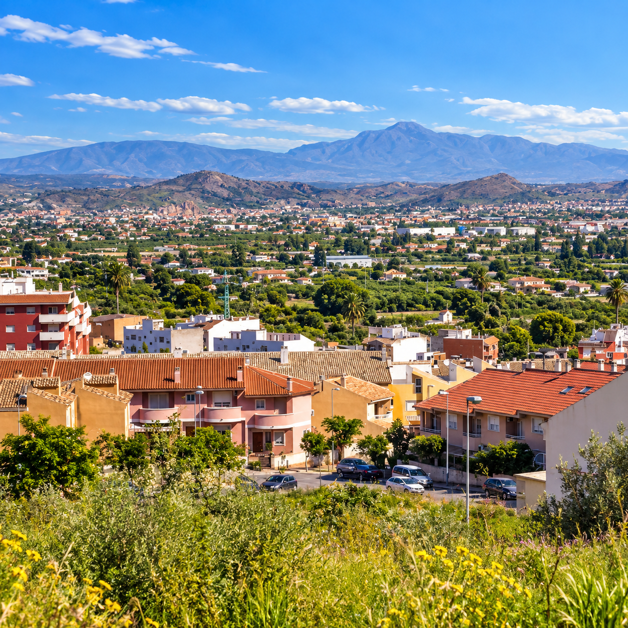 Historia y patrimonio de Torreagüera