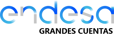 Logo ENDESA GRANDES CUENTAS