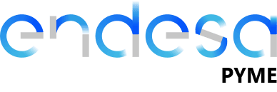 Logo ENDESA PYMES