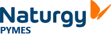 Logo NATURGY PYMES